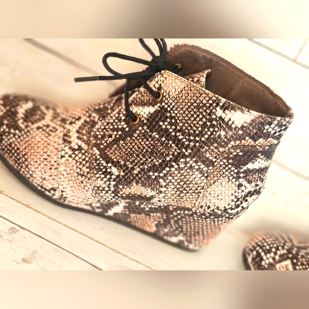 Pierre Dumas Faux Leather Snakeprint Wedge Lace up Sneakers Cream & Black - Picture 7 of 10
